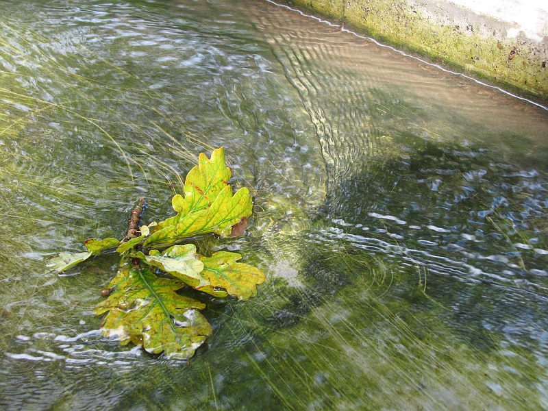 IMG_6218.JPG