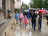 IMG_6347