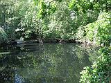 IMG_5665