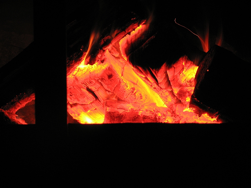 IMG_8907.JPG