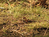 IMG_8989