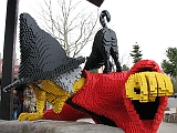 IMG_9903