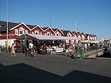 IMG_5961