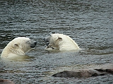 IMG_0859