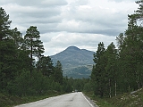 IMG_1022