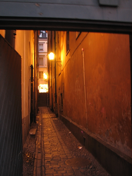 IMG_8095.JPG - En gyde i Gamla Stan