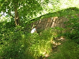 IMG_8102