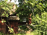 IMG_8218