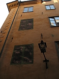 IMG_8281