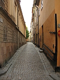 IMG_8343