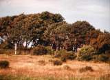 PC060003.JPG