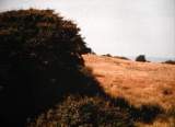 PC060005.JPG