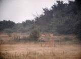 PC060036.JPG