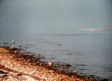 PC060043.JPG