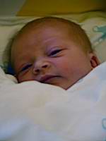 P9190018-m.jpg